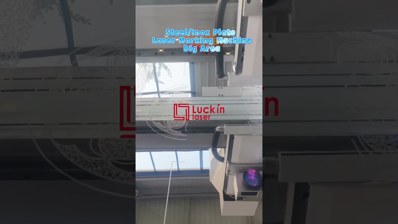 Steel Plate Laser Marking Machine/Inox Plate Laser Marking Machine