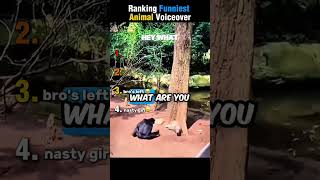 Top Funniest Animal Voiceovers Ranked 😂