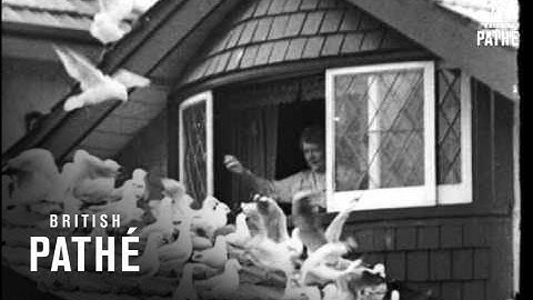 Cinetopicalities In Brief No. 116 (1940)