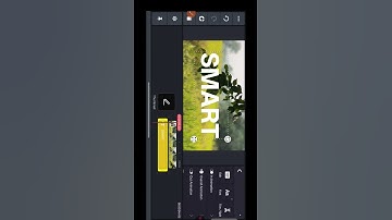 Kinemaster text animation #shorts