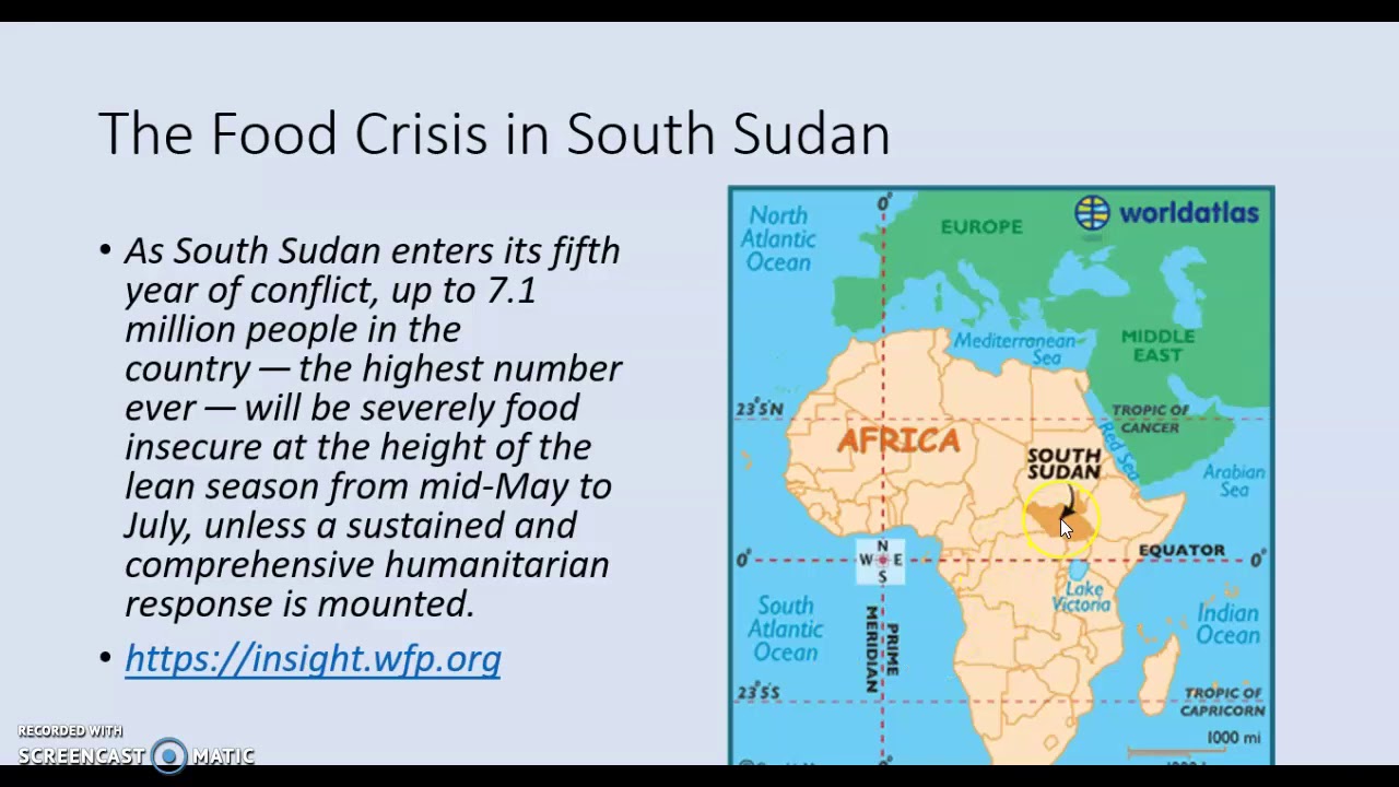 igcse geography food shortage case study