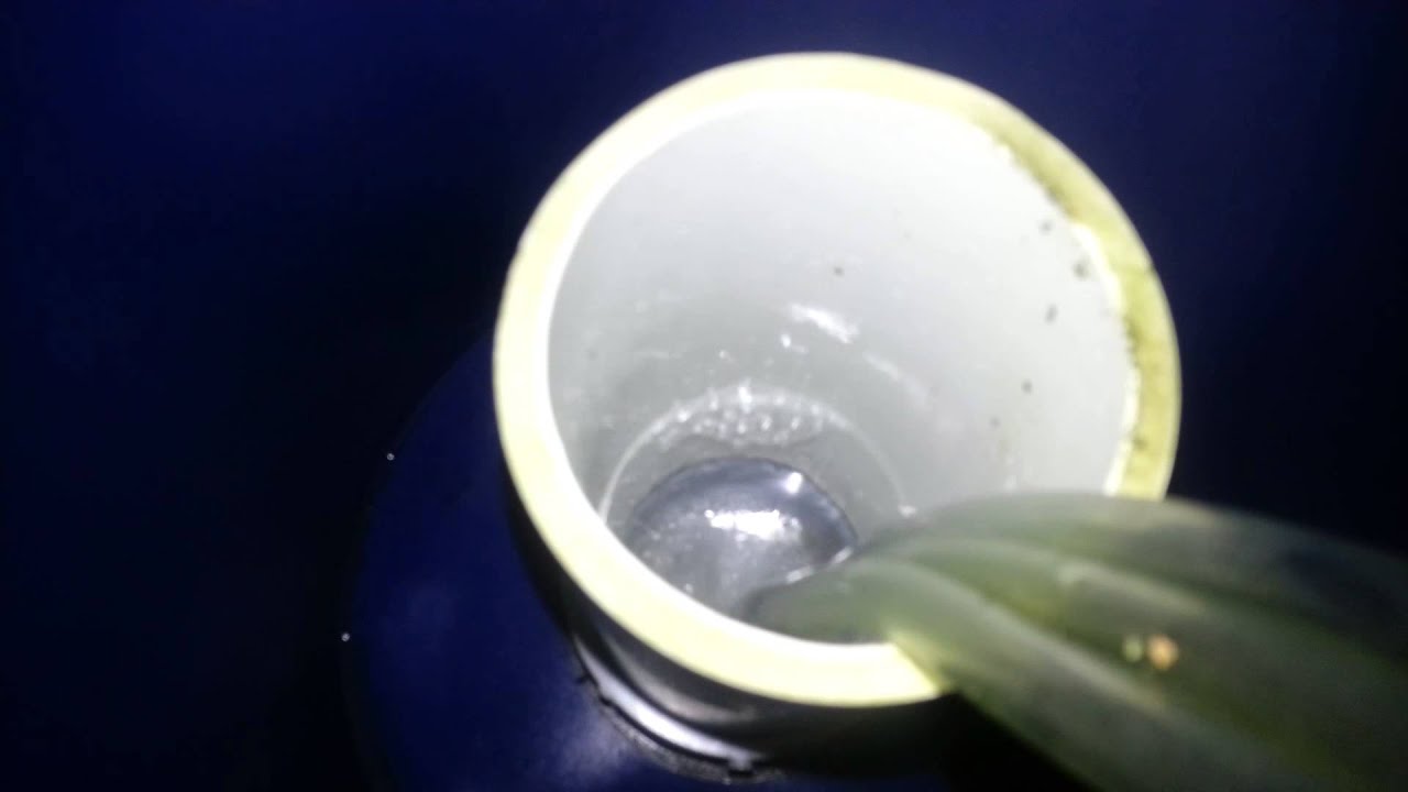 protein skimmer koi pond YouTube