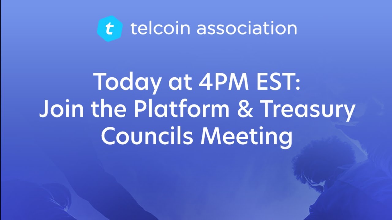 Telcoin Association Platform + Treasury Council Meeting 8.21.2025