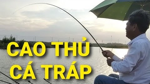 Câu cá Tráp, cá Nâu huyện Cần Giờ  || Câu Cá Thiên Nhiên