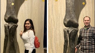 THE DINASOURS LIFE| EXPLORING MUSEUM OF ANCIENT LIFE AT THANKSGIVING POINT