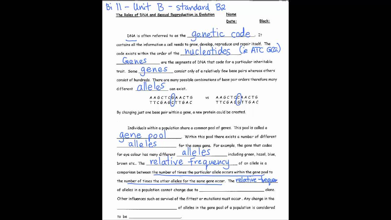 Bio 24 Unit B - role of DNA in evolution For Dna Replication Worksheet Answers