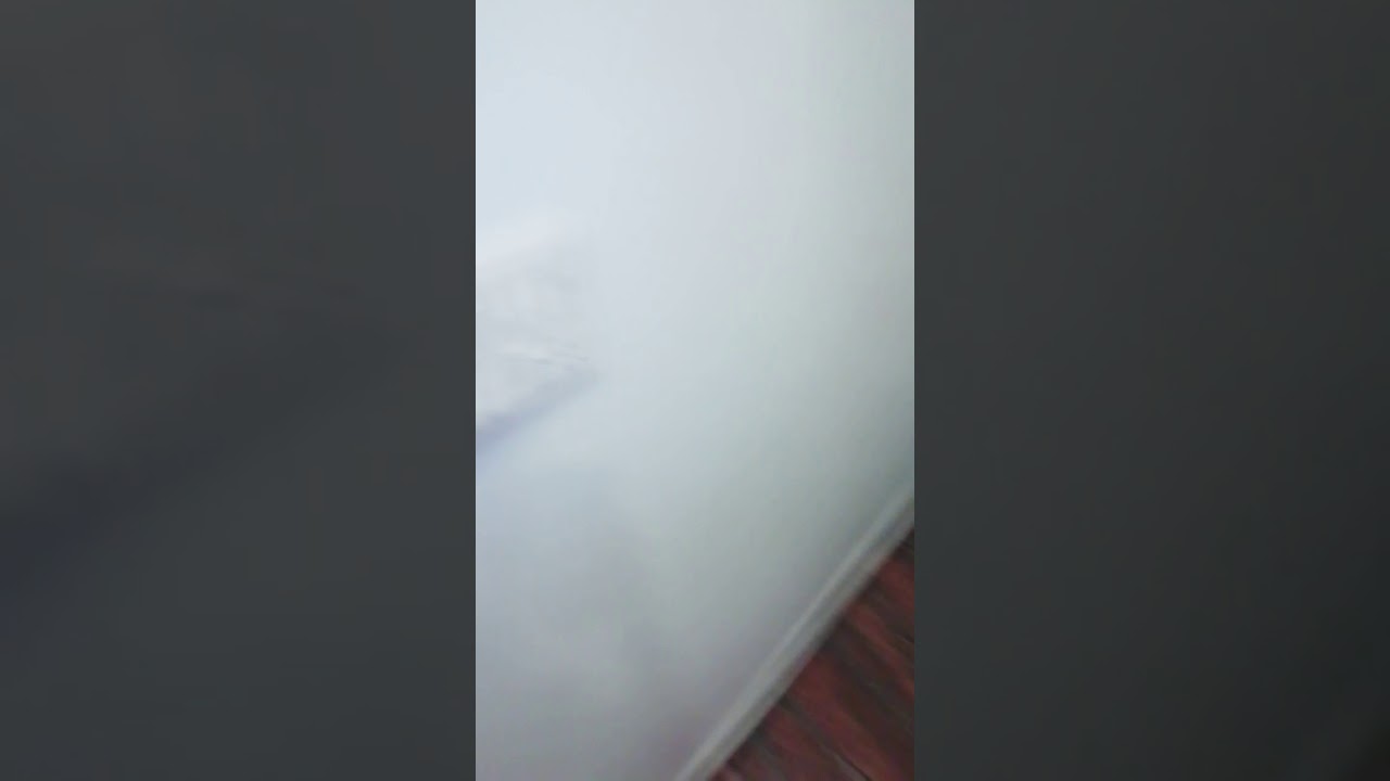 HOTEL ROYAL KING ROHTAK❤️  BEST HOTEL 