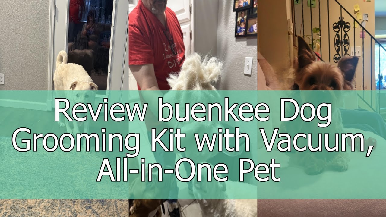 review-buenkee-dog-grooming-kit-with-vacuum-all-in-one-pet-grooming