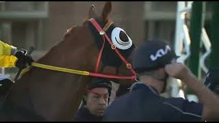 R1 Canterbury-Australia -23Jan 2026 screenshot 5
