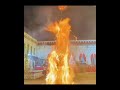 Happy Holi #holi2026 #holikadahan #holi #vikriworld
