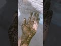 #trending #mehndi #mehandidesign loko🥰