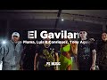 El Gavilan - Peso Pluma, Luis R Conriquez & Tony Aguirre (Letra/Lyrics) #pesopluma #letra#music