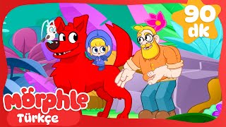 Ses Kuşu 🐦 MORPHLE | Çocuk Çizgi Filmleri | Moonbug Kids Türkçe