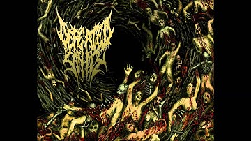 Defeated Sanity // Butchered Identity (HQ)