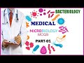Medical MCQs | Microbiology MCQs | Bacteriology MCQs | Best MCQs and Quiz For Success In All Test