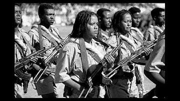Stop Slavery In Eritrea Campaign Video (English)
