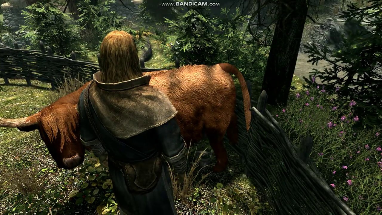 Skyrim Sрecial Edition geimplay video grafics double enb Cry engine 2019