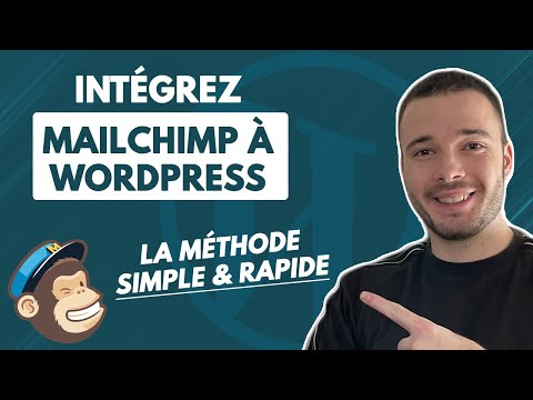 Comment intégrer rapidement un formulaire Newsletter Mailchimp sur Wordpress ?