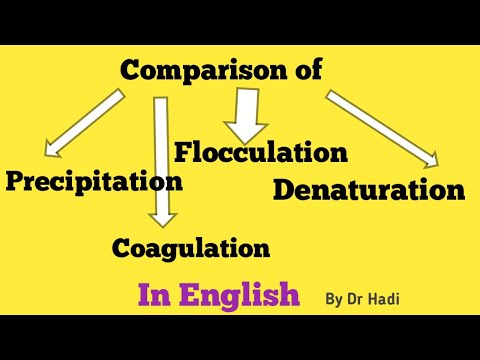 Precipitation، Coagulation، Denaturation اور Flocculation کا انگریزی میں ڈاکٹر کے ذریعہ موازنہ