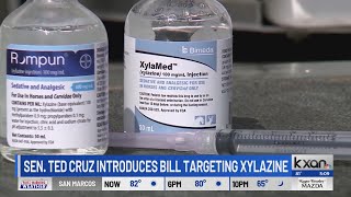 Sen Ted Cruz Introduces Us tranq Bill Sits Down For A Qu0026a With Kxan