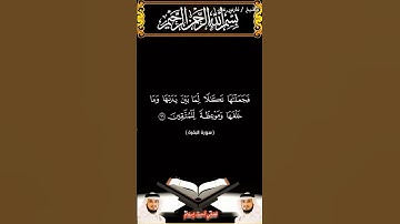سورة البقرة الآيتين 65 و66 بصوت الشيخ فارس عباد برواية حفص #القرآن_الكريم #اكسبلور #viral #المصحف