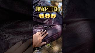 Theres A Snake In The Saddle snake reptile animals shorts foryou fyp