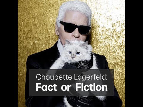 Video: Journalisten suggereren dat Lagerfeld een erfenis van miljoenen dollars aan de kat heeft nagelaten