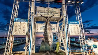 2020 Emerald Coast Blue Marlin Classic at Sandestin
