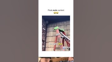 He Tried The Wildest Ladder Hack Ever! #shorts