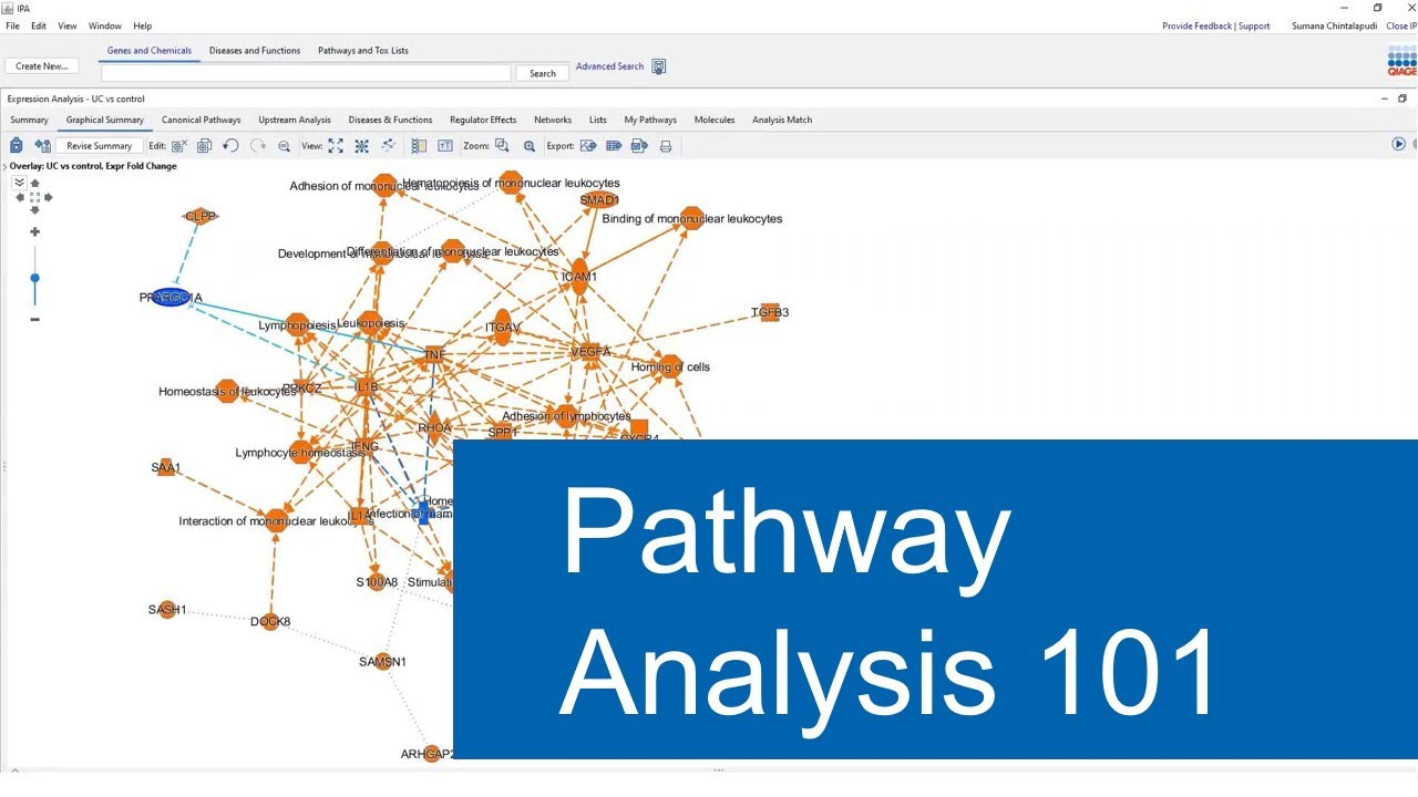 Tips and tricks for performing RNA-seq analyses in IPA - tv