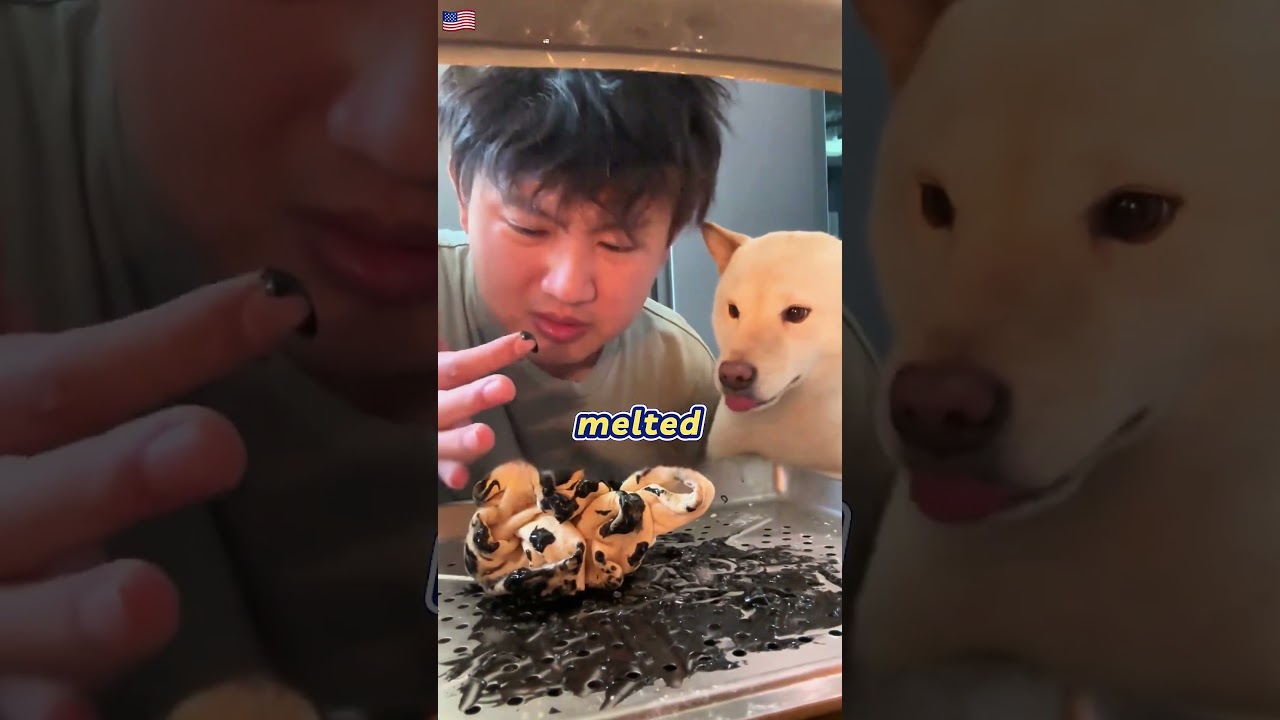 Meet My dog's Mom Gone Wrong Dog Mom Eats Melted Plastic!