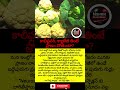 #Cauliflower #Cabbage #HealthTips #FoodSafety #Neuro #VegCare #WashVeg #StaySafe #TeluguNews #shorts