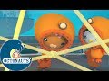 Octonauts - Le net | Dessins animés pour enfants