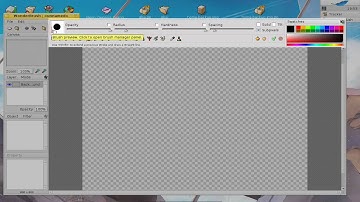 Haiku Screencast: Wonderbrush Basics