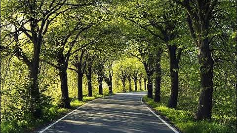 ماتيسر من القرٱن الكريم بصوت القارئ بصوت القارئ أحمد السنغالي الجزء الخامس