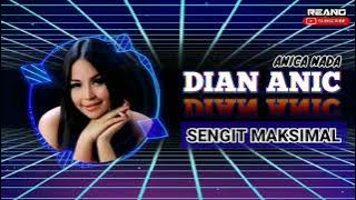 DIAN ANIC - SENGIT MAKSIMAL | ANICA NADA DIAN ANIC - SENGIT MAKSIMAL | ANICA NADA GROUP