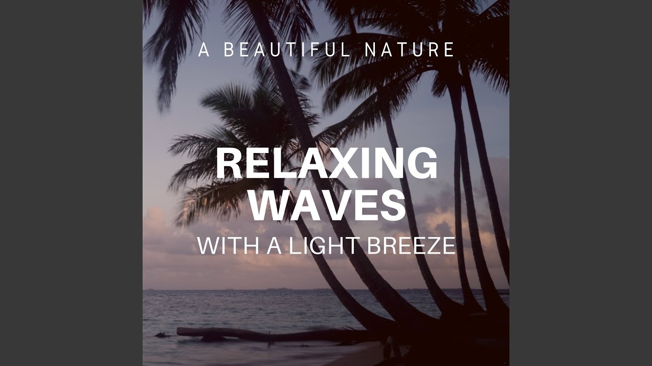 Watch Caribbean Waves on YouTube Watch Caribbean Waves on YouTube