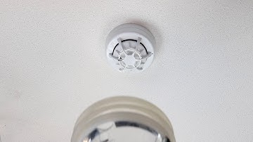 Testifire Sequential Test Set Up