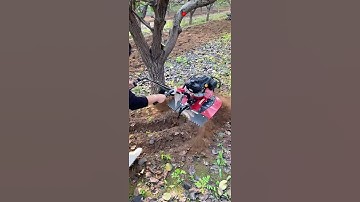 Part 794 Weeding, rotary tillage, furrowing and soil cultivation one machine.😱