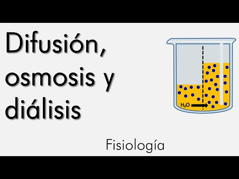 Vídeo: Diferencia Entre ósmosis Y Difusión En Biología