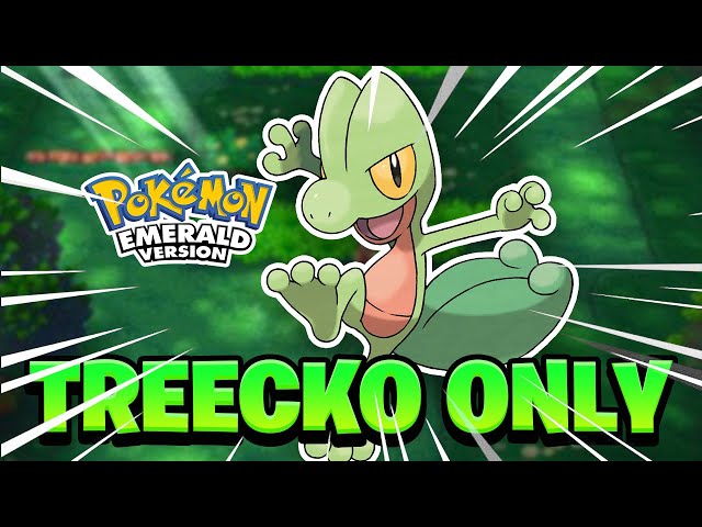 Treecko Emerald.  Pokemon emerald, Grass pokémon, Pokemon pokedex