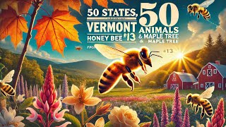 Vermont’s Buzz and Sap Duo: The Honeybee and the Sugar Maple 🌳🐝 #50States50Ani