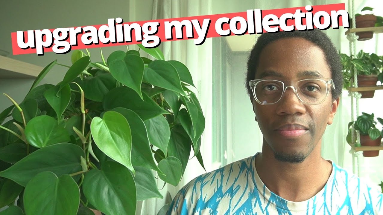 Updating my hanging plant shelf Building a Better Collection YouTube