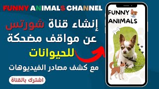 مالك ملا | قناة يوتيوب بدون الظهور - قناة أجنبية عن الحيوانات المضحكة - مع كشف المصادر