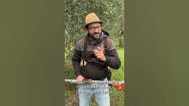 QUANDO RACCOGLIERE LE OLIVE