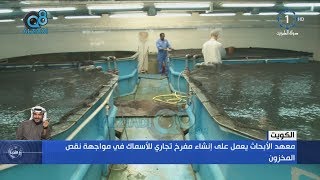 معهد الكويت للأبحاث العلمية يعمل على إنشاء مفرخ تجاري للأسماك في مواجهة نقص المخزون