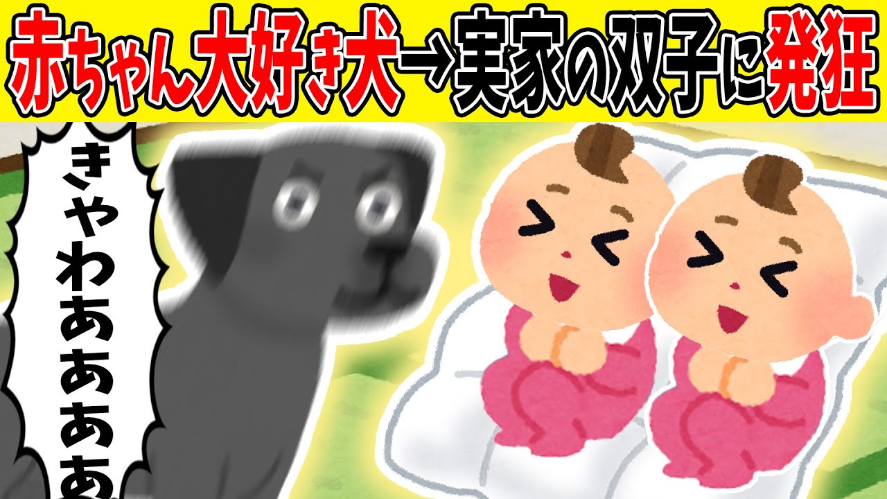 【狂愛】双子を赤ちゃん好きの犬に紹介した結果→発狂してしまう【ゆっくり】