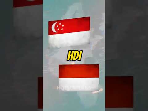 Singapore 🇸🇬 VS Indonesia 🇮🇩 #shorts #singapore #indonesia #vs #viral #onlyeducation #trending #fyp