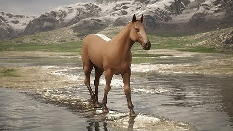 Horse Walk Cycle [MAYA 2025 With UNREAL ENGINE 5.6]