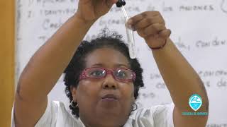 Práctica de Química Básica No.9 :  Identificación de aniones presentes en el agua